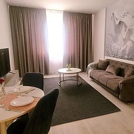 Chic With And Gym 4* Bucharest