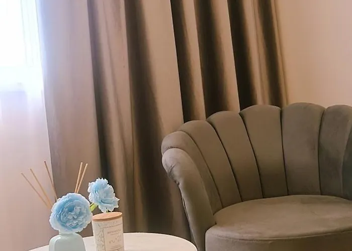 Chic With And Gym 4* Bukarest